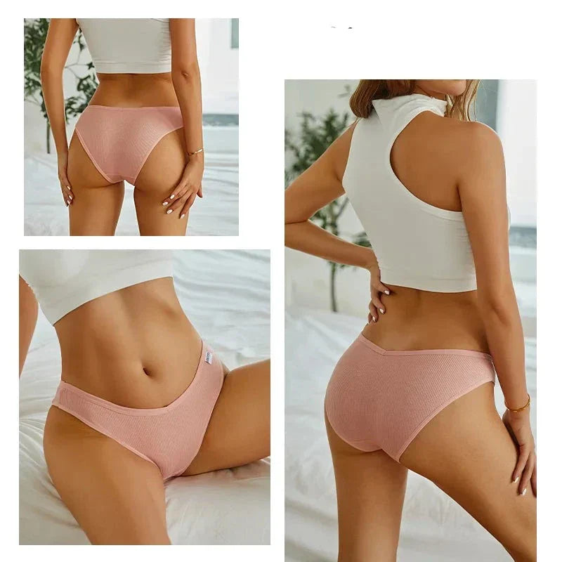 Lot de culottes coton taille basse